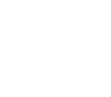 Miniatures Lyon