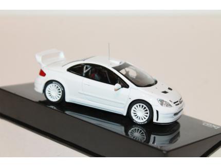 PEUGEOT 307 WRC RALLY 2012 IXO 1/43°