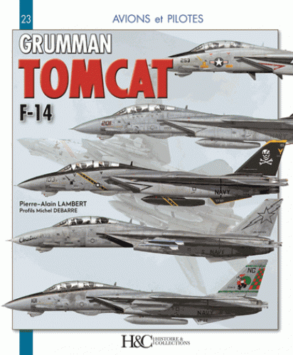 GRUMMAN F-14 TOMCAT H&C