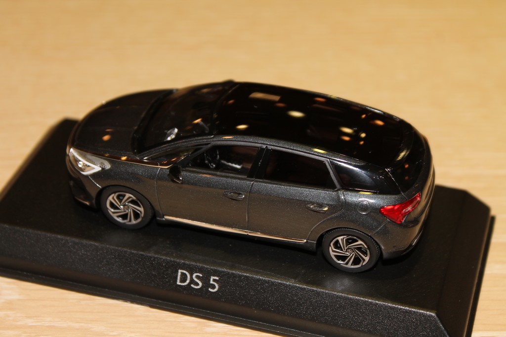 Ds5 miniature shop